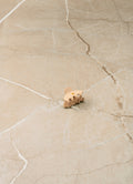 Balmain Pince À Cheveux Sand Small