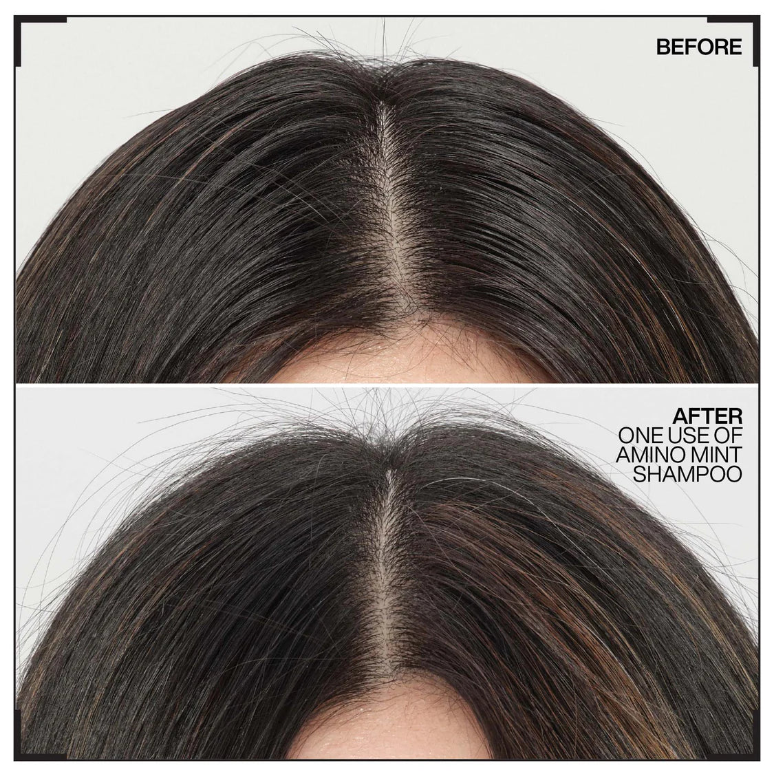 Redken - Shampoing Amino Mint
